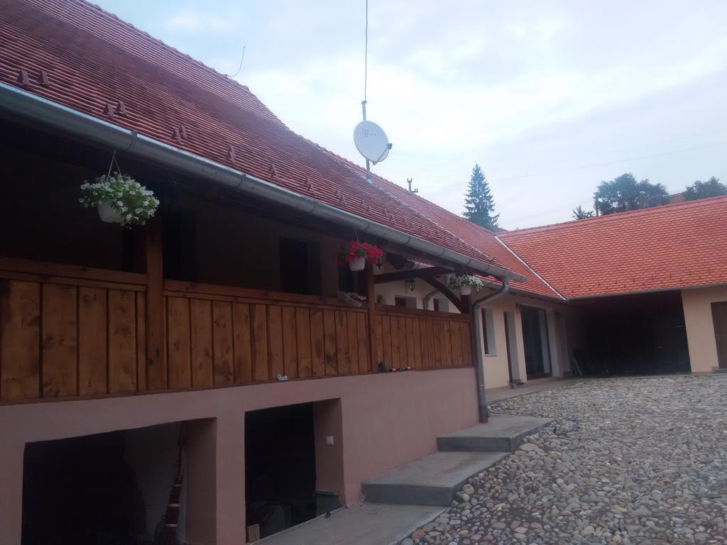 הוילה Saschiz Casa Saseasca מראה חיצוני תמונה